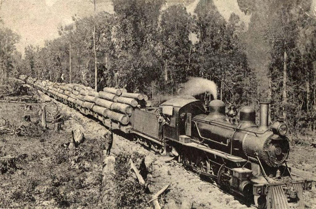 Logging Train Encyclopedia Of Arkansas