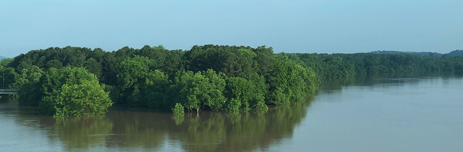 Wooded parkland along flooded river