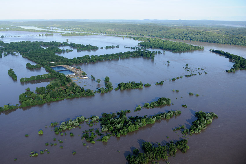 Flooded area with trees and two pools as seen from above