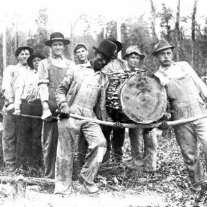 Mixed group of loggers carrying a large log using poles to support its weight