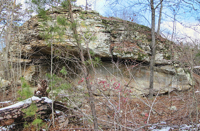 Overgrown area with rock outcropping