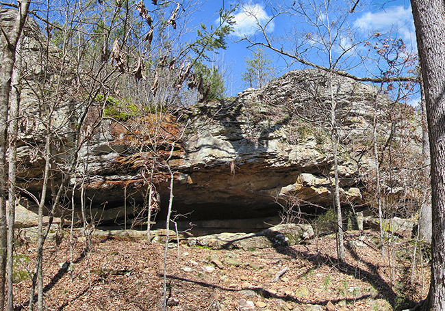 Cave entrance under rock outcropping in forested area