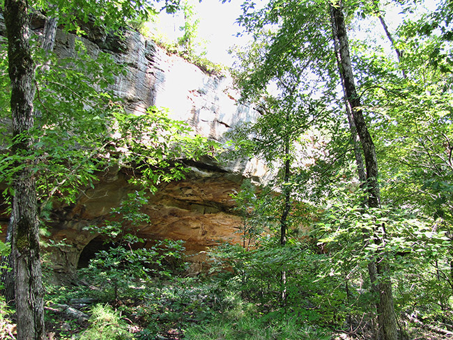 Cave entrance seen under rock wall through trees