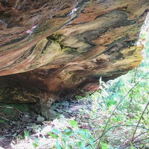Underside of rock wall with swirl pattern