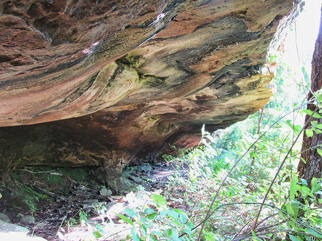 Underside of rock wall with swirl pattern