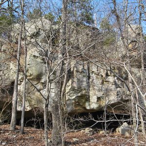Rock wall with cave entrance and bald trees in the foreground