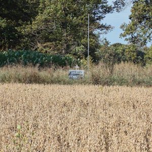"Akron Cemetery" sign in overgrown brown field with trees in the background