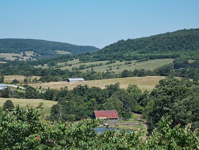 Tree and grass covered countryside with barns in the foreground