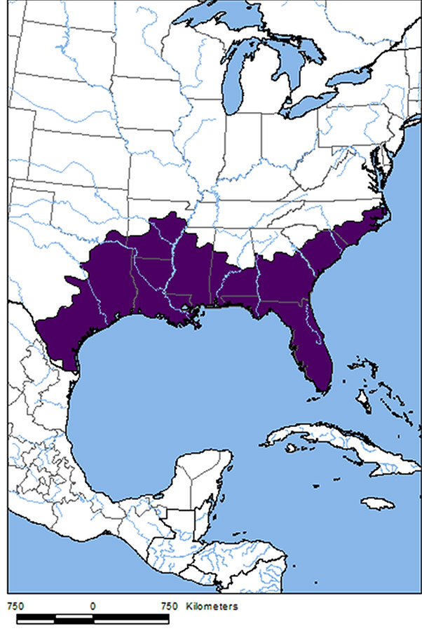 Map of the United States with much of the Southeastern states in purple