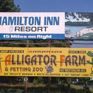 "Hamilton Inn Resort" and "Arkansas Alligator Farm" billboards