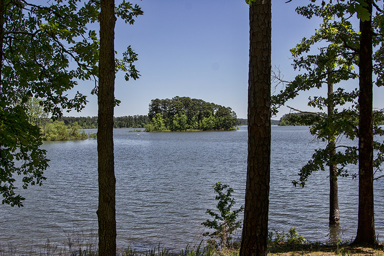 Looking through trees onto lake with islands and rippling water