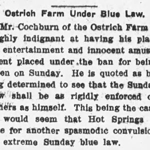 "Ostrich Farm under blue law" newspaper clipping