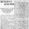 "The Italian as a cotton picker" newspaper clipping