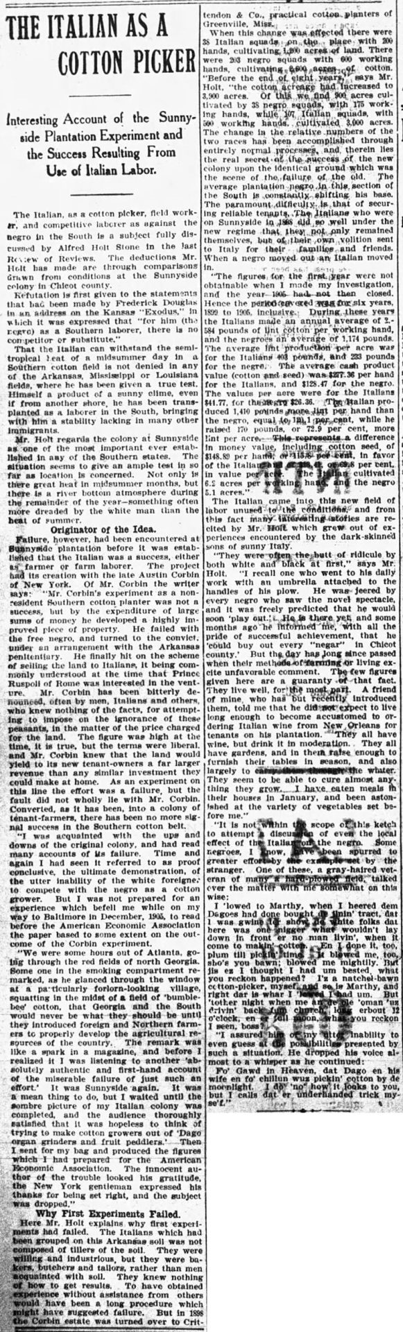 "The Italian as a cotton picker" newspaper clipping