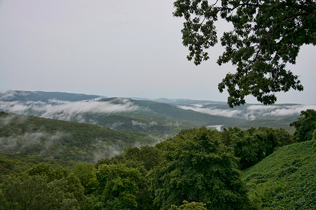 Clouds hovering above tree covered mountains with gray skies