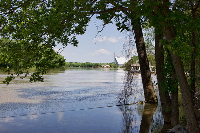 River as seen from under a tree with buildings on opposite shore