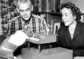 White man and woman watching a rabbit play a tiny piano