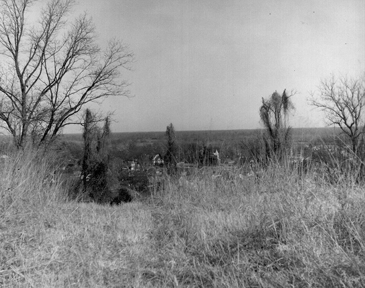 Overgrown bluff with bare trees and buildings in the background