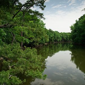 River with trees and green foliage