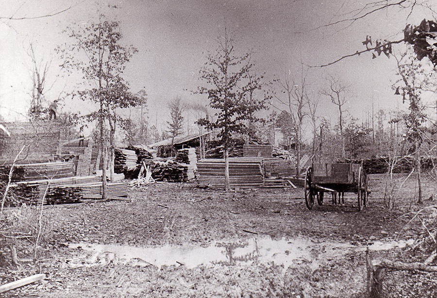 Stacks of lumber in field with trees and wagon