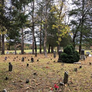 Gravestones and autumn trees in cemetery
