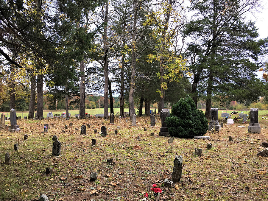 Gravestones and autumn trees in cemetery