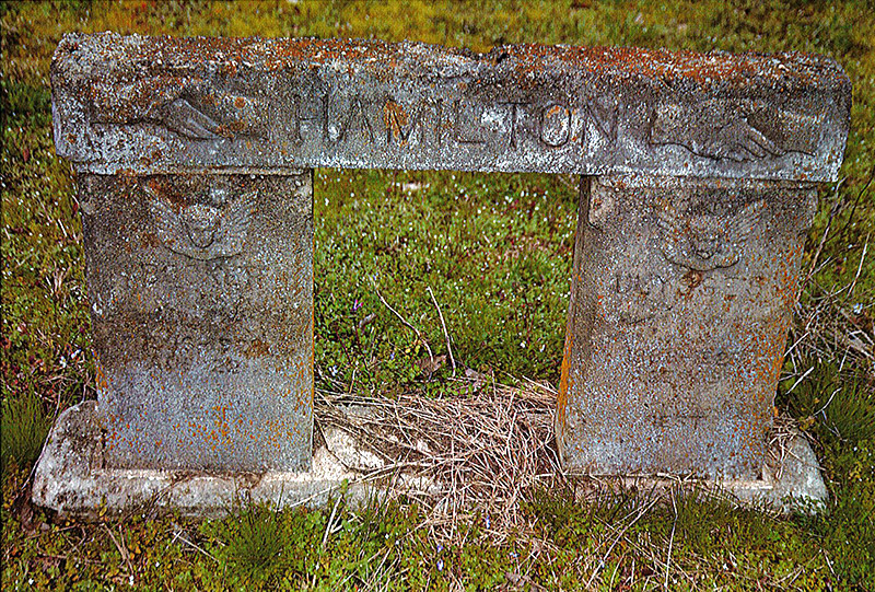 Weathered "Hamilton" memorial bench in cemetery