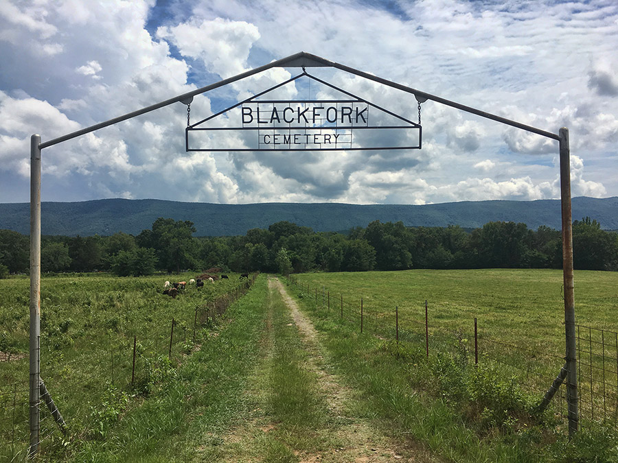 Iron arch with "Black fork Cemetery" sign hanging over overgrown dirt road with barbed wire fences and green fields on both sides