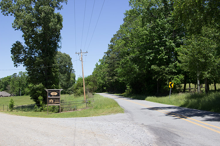 Two-lane rural road with turnoff under power lines with trees on right side