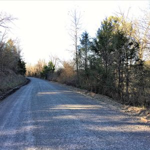 Gravel road with trees on both sides