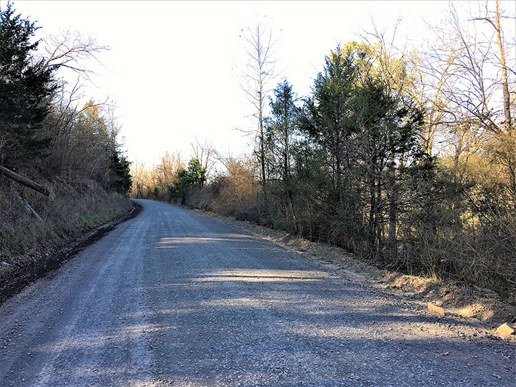 Gravel road with trees on both sides
