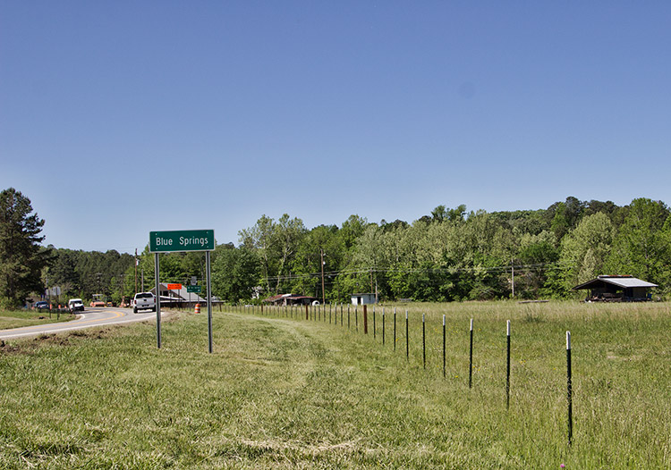 Two-lane road with "Blue Springs" road sign and fenced-in field on the right of it