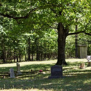 Gravestones under trees in rural cemetery