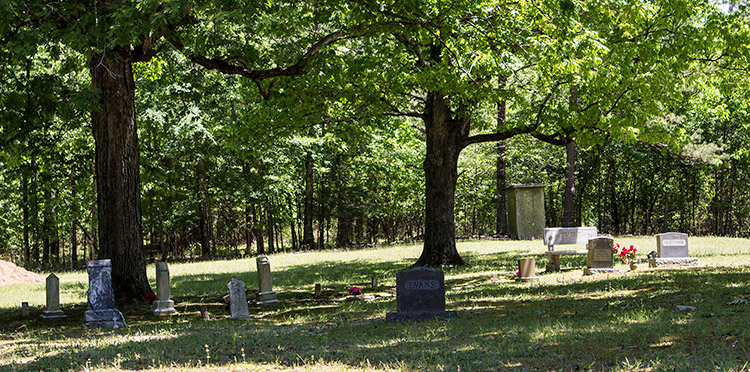Gravestones under trees in rural cemetery
