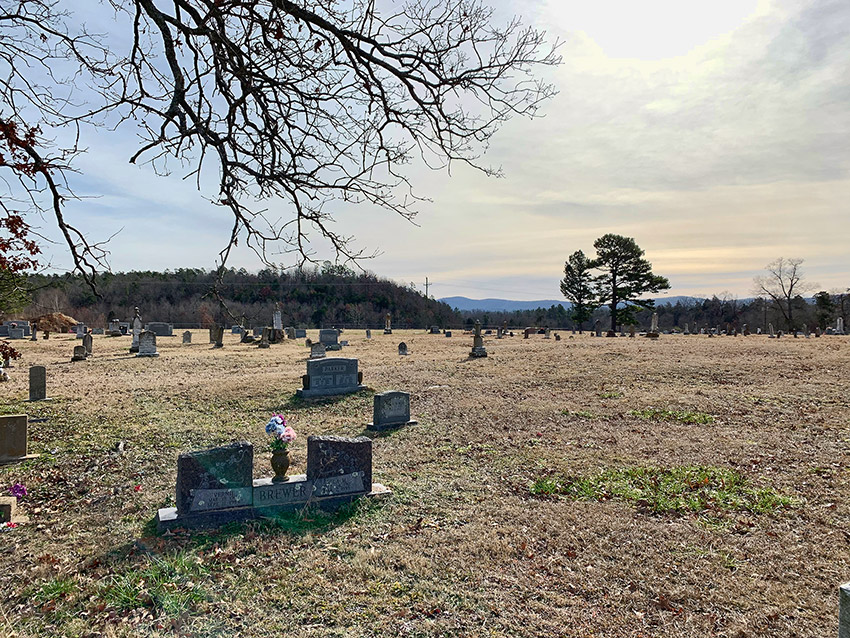 Gravestones and tree in cemetery with tree-covered hills in the background