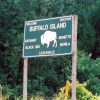 Green road sign for "Buffalo Island" with wooden supports