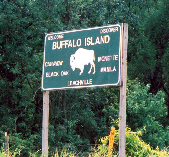 Green road sign for "Buffalo Island" with wooden supports