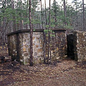 Small stone building in forest