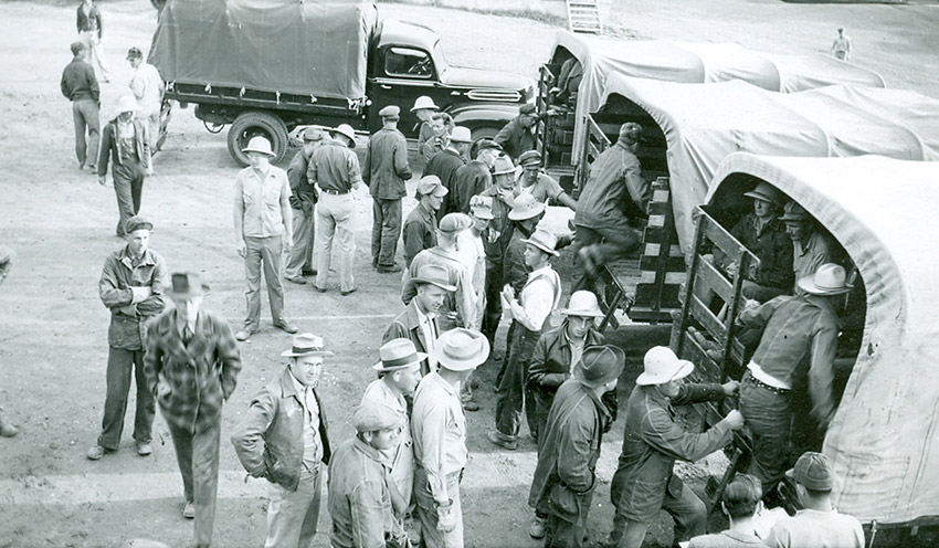 White men climing into the backs of covered trucks