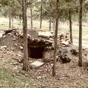 Wooden bunker buried in dirt with trees