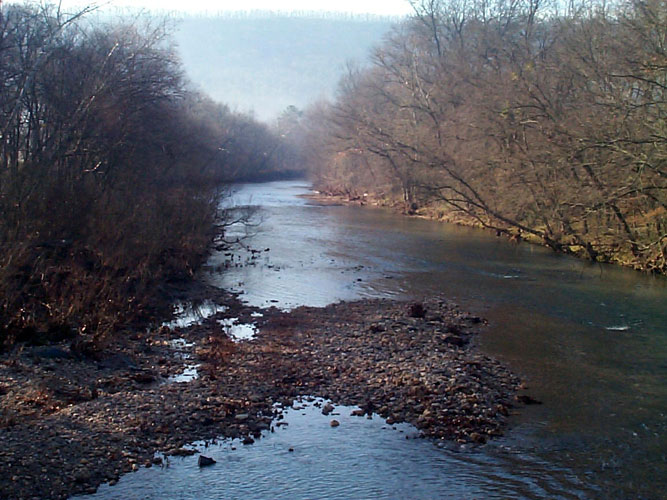 River with rocks in the foreground and trees on either side