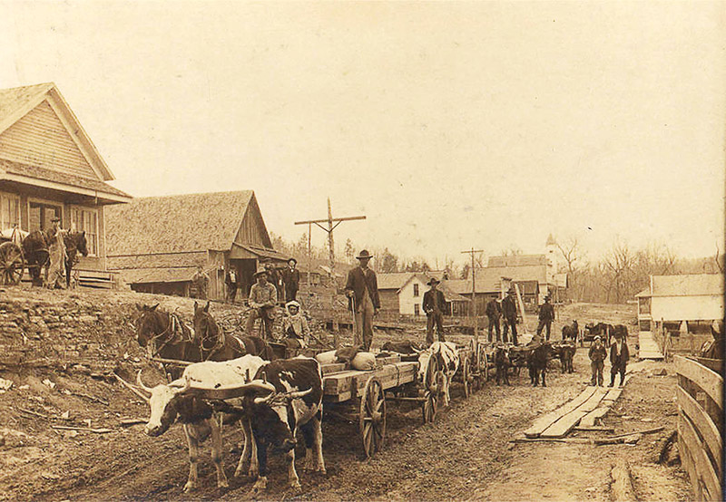 White men with ox-drawn wagons on dirt road lined with buildings with other multistory buildings in the background