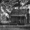 White man sitting on porch of log cabin between two trees