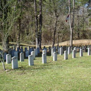 Rows of grave markers with trees and flag