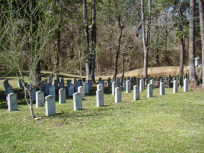 Rows of grave markers with trees and flag
