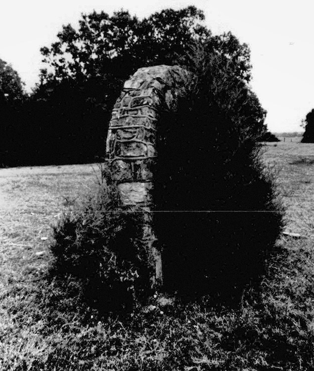 Tree growing next to stone arch structure in field