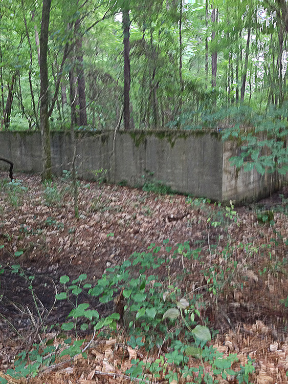 Concrete foundation walls in forested area