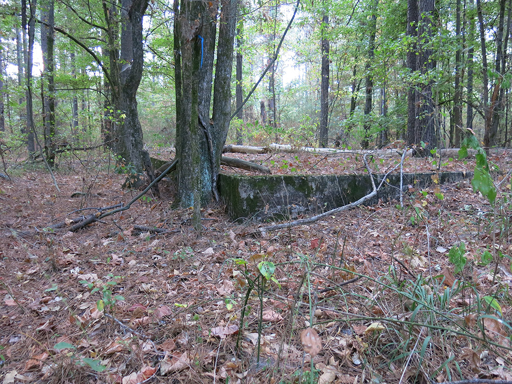Ruins of a concrete foundation covered in leaves and dead branches in forest