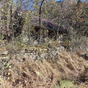 Overgrown abandoned structure and and stone wall