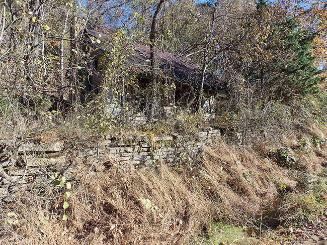 Overgrown abandoned structure and and stone wall